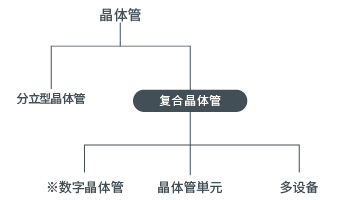 按集成度分类