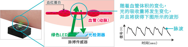 [反射型脉搏传感器的原理]