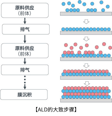 ALD的大致步骤